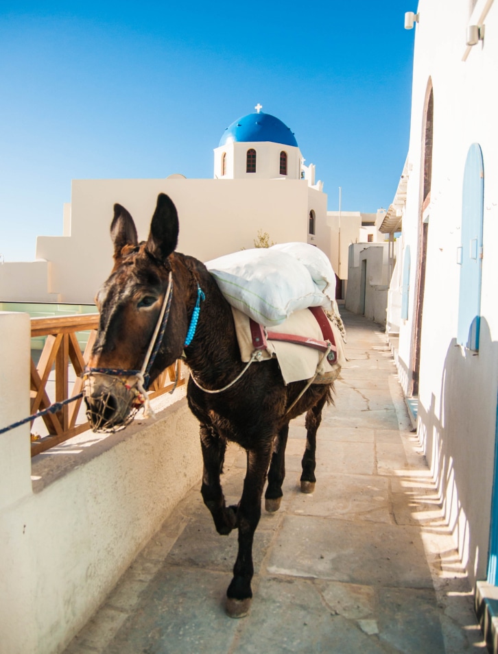 enarma-santorini-photo-2