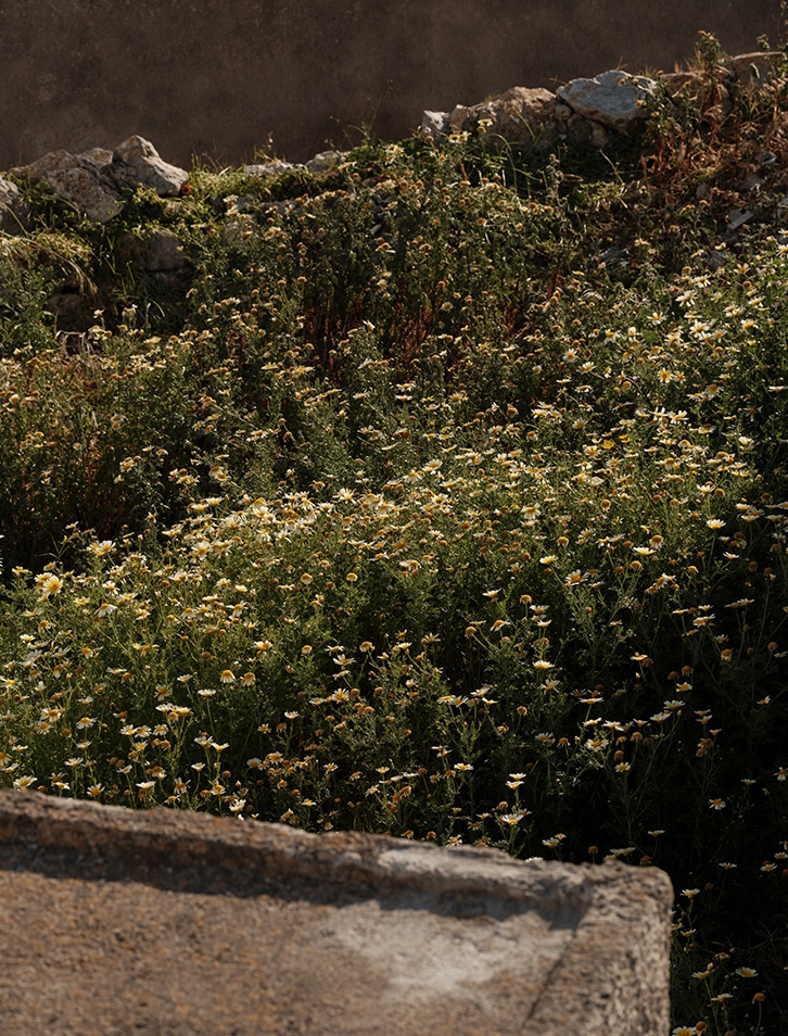 enarma-esg-photo-1